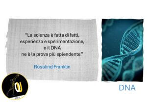 DNA struttura citazioni Rosalind Franklin DNA struttura citazioni Rosalind Franklin