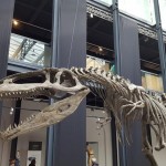 “Dinosauri. Giganti dall’Argentina” in mostra al Centro Culturale Altinate San Gaetano, sino al 26 febbraio 2017, Padova