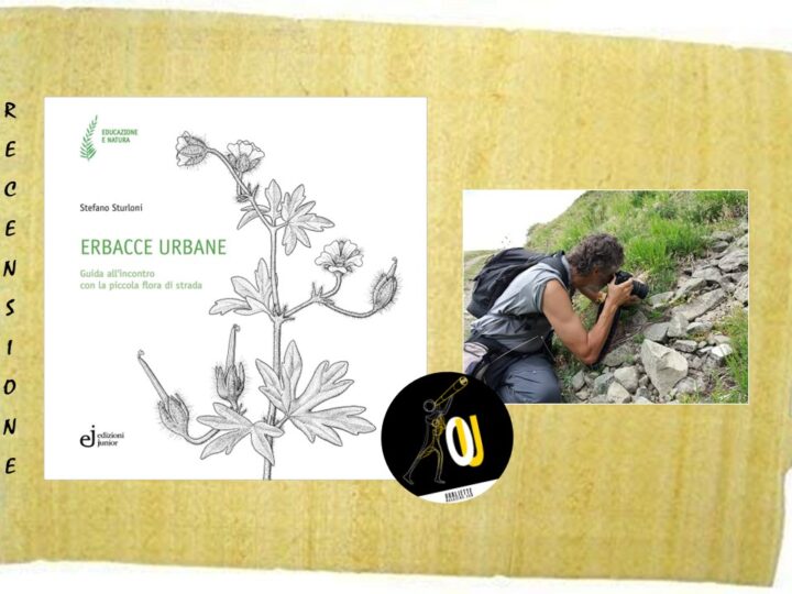 “Erbacce urbane” di Stefano Sturloni: guida all’incontro con la piccola flora di strada