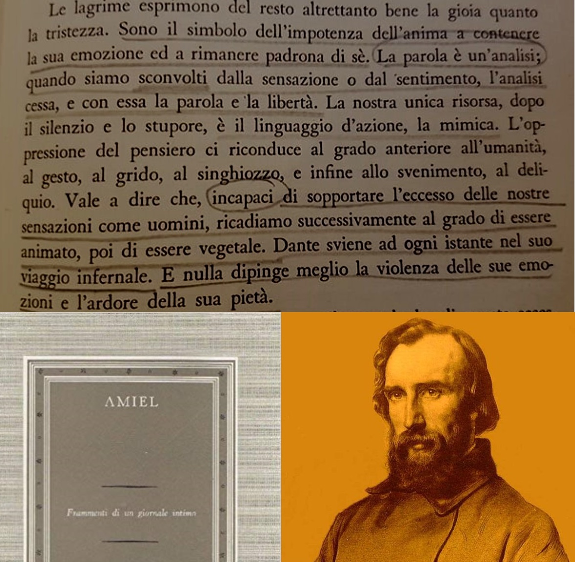 “Diario Intimo” di Henri-Frédéric Amiel: l’eremitaggio morale e le sofferenze vaghe ‒ giugno 1857/1865