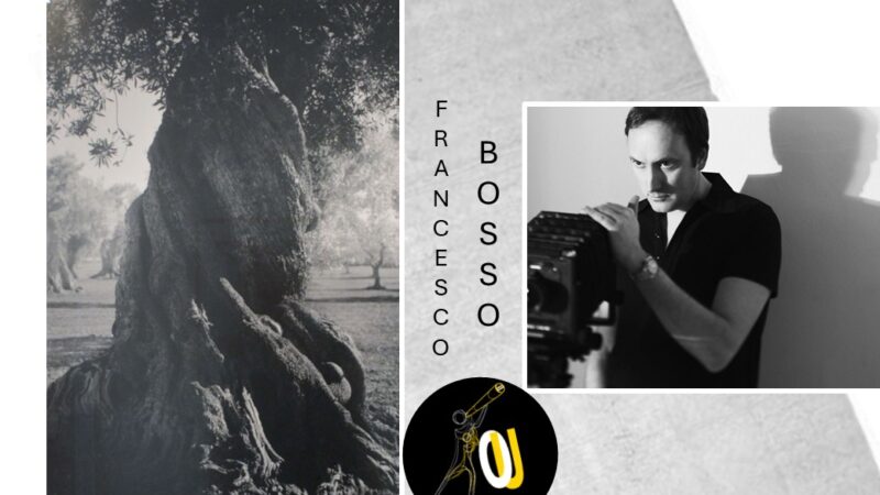 Francesco Bosso: il silenzio sacro della natura in bianco e nero