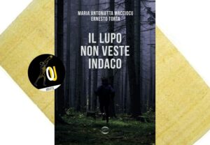 Il lupo non veste indaco Il lupo non veste indaco
