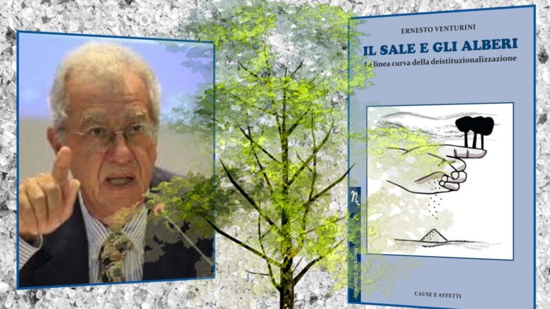 “Il sale e gli alberi” di Ernesto Venturini: il manicomio fuori dalle sue mura