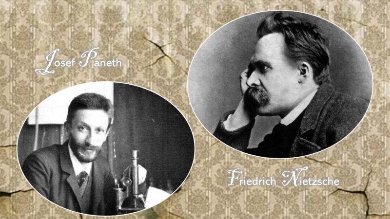 “Nietzsche nei ricordi e nelle testimonianze dei contemporanei”: l’incontro con Josef Paneth