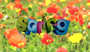 Spring - Primavera