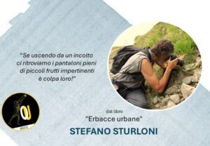 Stefano Sturloni citazioni Erbacce urbane Stefano Sturloni citazioni Erbacce urbane