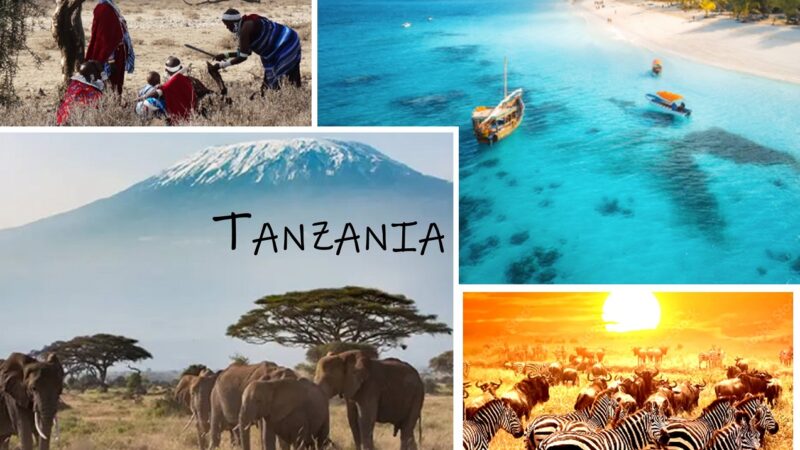 Best Spots in Tanzania for a Great Holiday