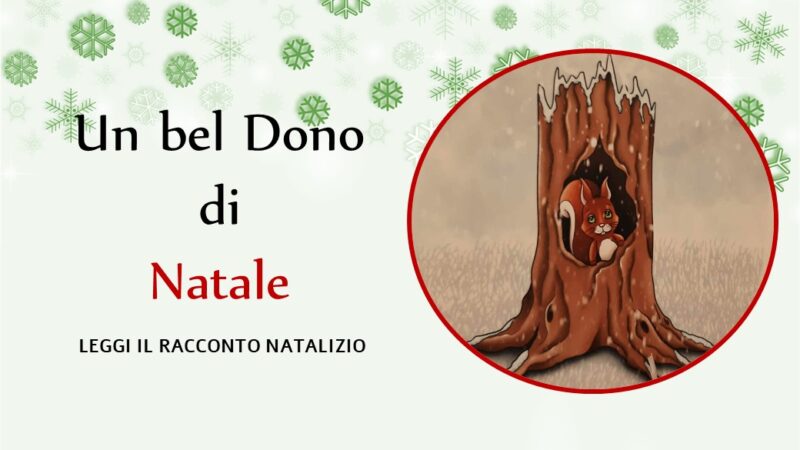 “Un bel Dono di Natale”: racconto per bambini sul potere della diversità