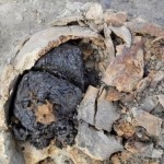 Turchia: trovato un cervello vecchio di 4.000 anni ancora in buono stato di conservazione