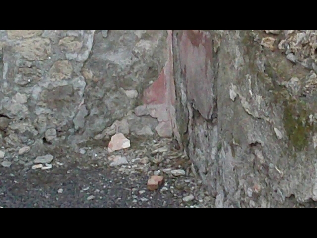 Pompei continua a crollare: pochi giorni fa si è sgretolato uno stucco antico